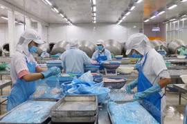 En alza exportaciones agroforestales y acuáticas de Vietnam en los primeros 11 meses