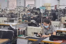 Más de 232 mil trabajadores en Ciudad Ho Chi Minh se benefician del seguro de desempleo
