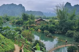 Aumenta número de turistas a provincia vietnamita en primeros seis meses del año