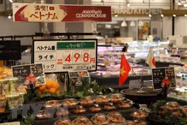 Intensifican conexión entre empresas procesadoras de alimentos de Vietnam y Japón