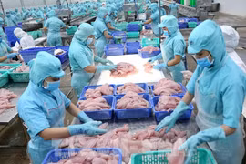 Publican informe sobre impacto económico de pesca ilegal, no documentada y no reglamentada en Vietnam