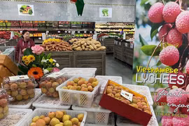 Exportaciones de productos agrícolas vietnamitas a Australia registran resultados positivos