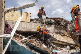 Sismo de magnitud 7,2 sacude la isla indonesia de Sumatra 