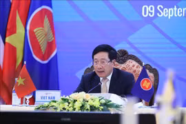 Promueven mecanismo de ventanilla única nacional y de ASEAN