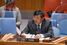Vietnam lamenta expulsión de Etiopía de altos funcionarios de la ONU