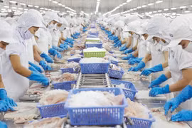 Vietnam y Chile impulsan lazos económicos y comerciales