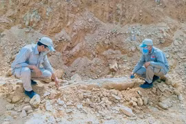 Desactivan una gran bomba en zona residencial en provincia vietnamita de Quang Tri