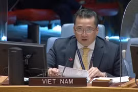 Vietnam exhorta a acelerar la transición política en Libia