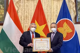 Resaltan contribuciones de Asociación de Amistad Hungría-Vietnam a fomento de lazos binacionales