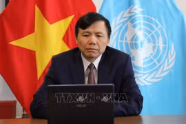 Vietnam hará todo lo posible para cumplir su misión en la ONU