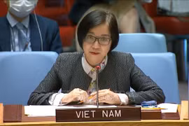 Vietnam llama a impulsar diálogo sobre cuestión palestina