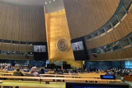 En alza prestigio de Vietnam en la arena internacional