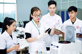 Promueven cooperación científico-tecnológica entre Vietnam y Corea del Sur