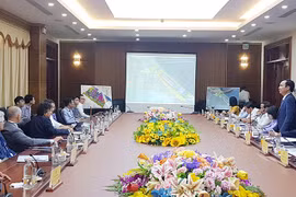 Empresa italiana coopera con provincia vietnamita en sector energético