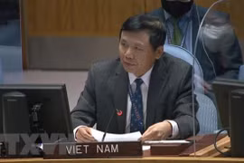 Vietnam desea promover cooperación con Corte Internacional de Justicia en formación de personal