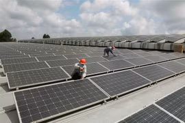 EE.UU. no realizará investigación antidumping contra batería solar de Vietnam