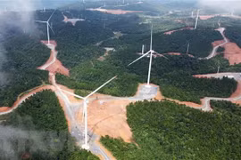 Australia y Vietnam buscan impulsar cooperación económica