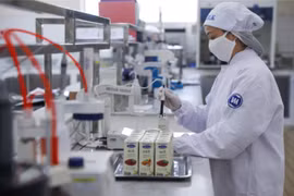 Empresa vietnamita Vinamilk alcanza ganancias millonarias en 2020 a pesar del COVID-19