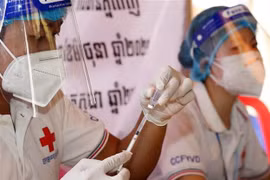 Camboya reporta 790 nuevos portadores del COVID-19