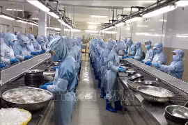 Vietnam reporta superávit comercial de productos agroforestales y pesqueros