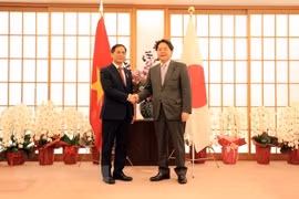 Vietnam considera a Japón como socio estratégico importante