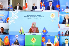 Instan a fomentar cooperación ASEAN+3 en lucha contra COVID-19