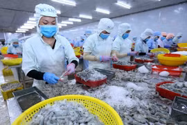 Plataforma de comercio electrónico impulsa exportaciones de Vietnam a Europa