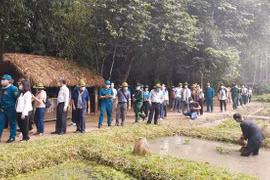 Empresas en Ciudad Ho Chi Minh se esfuerzan por recuperar actividades