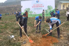 Lanzan Mes de la Juventud 2021 en Vietnam
