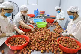 Australia amplía oportunidades comerciales con Vietnam