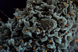 OMC exhorta a países del Sudeste Asiático a mantener vigilancia ante la variante Ómicron