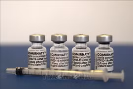 Aprueban Vietnam vacuna Comirnaty de Pfizer-BioNtech