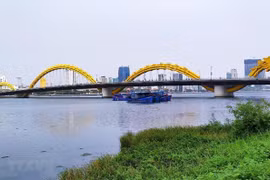 Ciudad vietnamita de Da Nang por convertirse en centro financiero internacional 