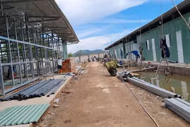 Provincia vietnamita Kien Giang establece hospital de campaña con 300 camas