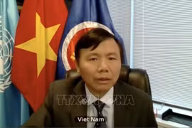 Vietnam insta a promover la Carta de la ONU para mantener la paz y seguridad internacional
