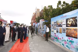 Ciudad Ho Chi Minh celebra 110 aniversario del viaje del Tío Ho al exterior