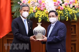 Aplaude Vietnam iniciativa singapurense sobre reconocimiento mutuo de vacunación