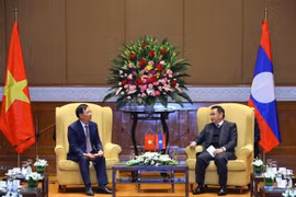 Vietnam concede importancia a preservación de nexos de amistad con Laos