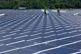 Resaltan esfuerzos de Vietnam en transición a energía limpia