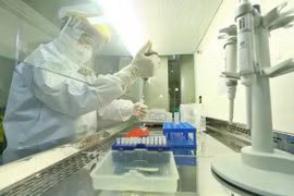 Casos relacionados con paciente vietnamita 1498 dan negativo al coronavirus