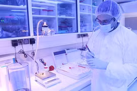 Destacan lazos entre Vietnam y OIEA en uso de tecnología nuclear con fines pacíficos