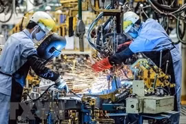 Empresas europeas optimistas sobre entorno de negocios en Vietnam en “nueva normalidad”