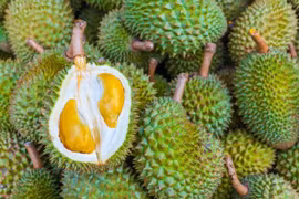 Durian de Malasia penetra en mercado japonés 