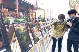 Efectuarán exposición fotográfica con motivo del 91 aniversario de fundación del PCV en Ciudad Ho Chi Minh