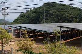 Firman contrato de licitación para construcción de plantas de energía solar en Vietnam