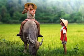 Amor de erudito francés por pinturas folclóricas vietnamitas