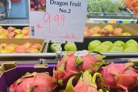 Pitahaya vietnamita goza de alta valoración en Australia