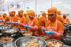 Ofrecen recomendaciones en Vietnam para mejorar implementación del acuerdo RCEP