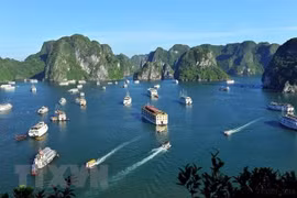 Provincia vietnamita de Quang Ninh se prepara para reapertura del turismo