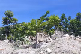 Nueva Zelanda apoya proyecto ambiental en provincia vietnamita de Ninh Thuan